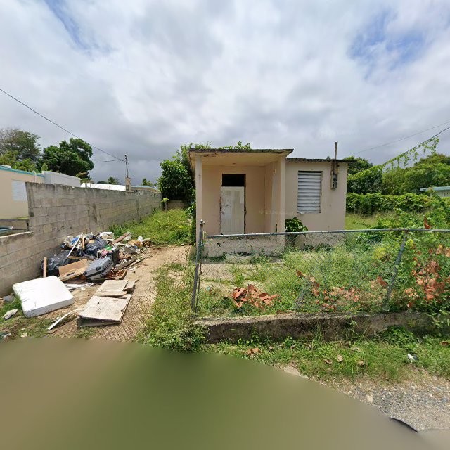 Foto de estorbo público en Vega Baja