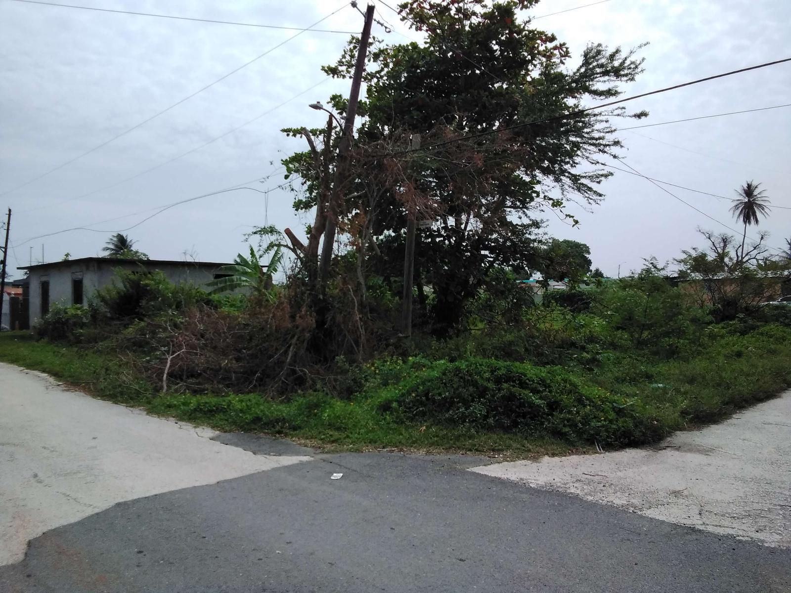 Foto de estorbo público en Vega Baja