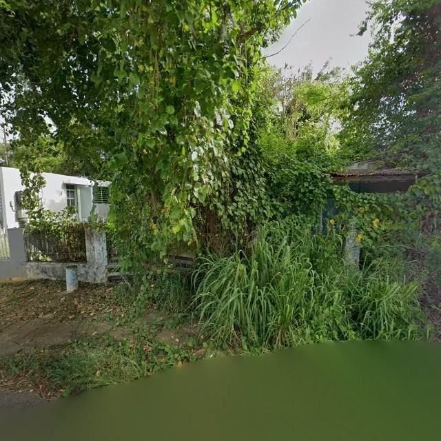 Propiedad declarada estorbo público en C8WJ+J47 Santana, Arecibo, Puerto Rico 00612, Arecibo
