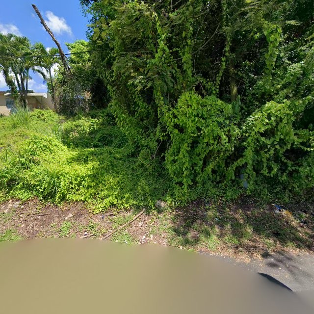 Propiedad declarada estorbo público en CGP2+52G Manatí, Puerto Rico 00674, Manatí