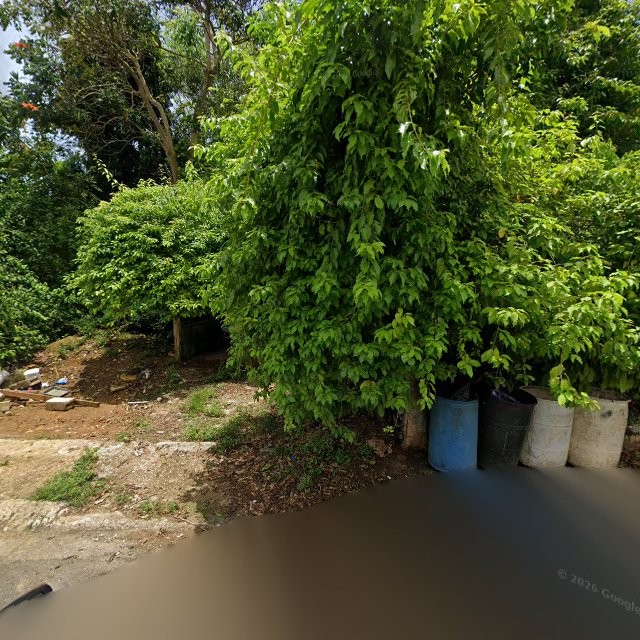 Propiedad declarada estorbo público en CFWQ+VGM La Luisa, Manatí, Puerto Rico 00674, Manatí