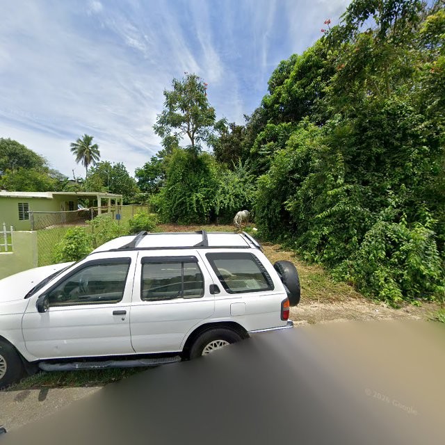 Propiedad declarada estorbo público en CFWQ+VFC La Luisa, Manatí, Puerto Rico 00674, Manatí