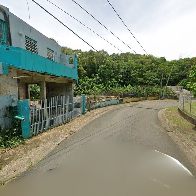 Propiedad declarada estorbo público en CFWQ+VVP La Luisa, Manatí, Puerto Rico 00674, Manatí