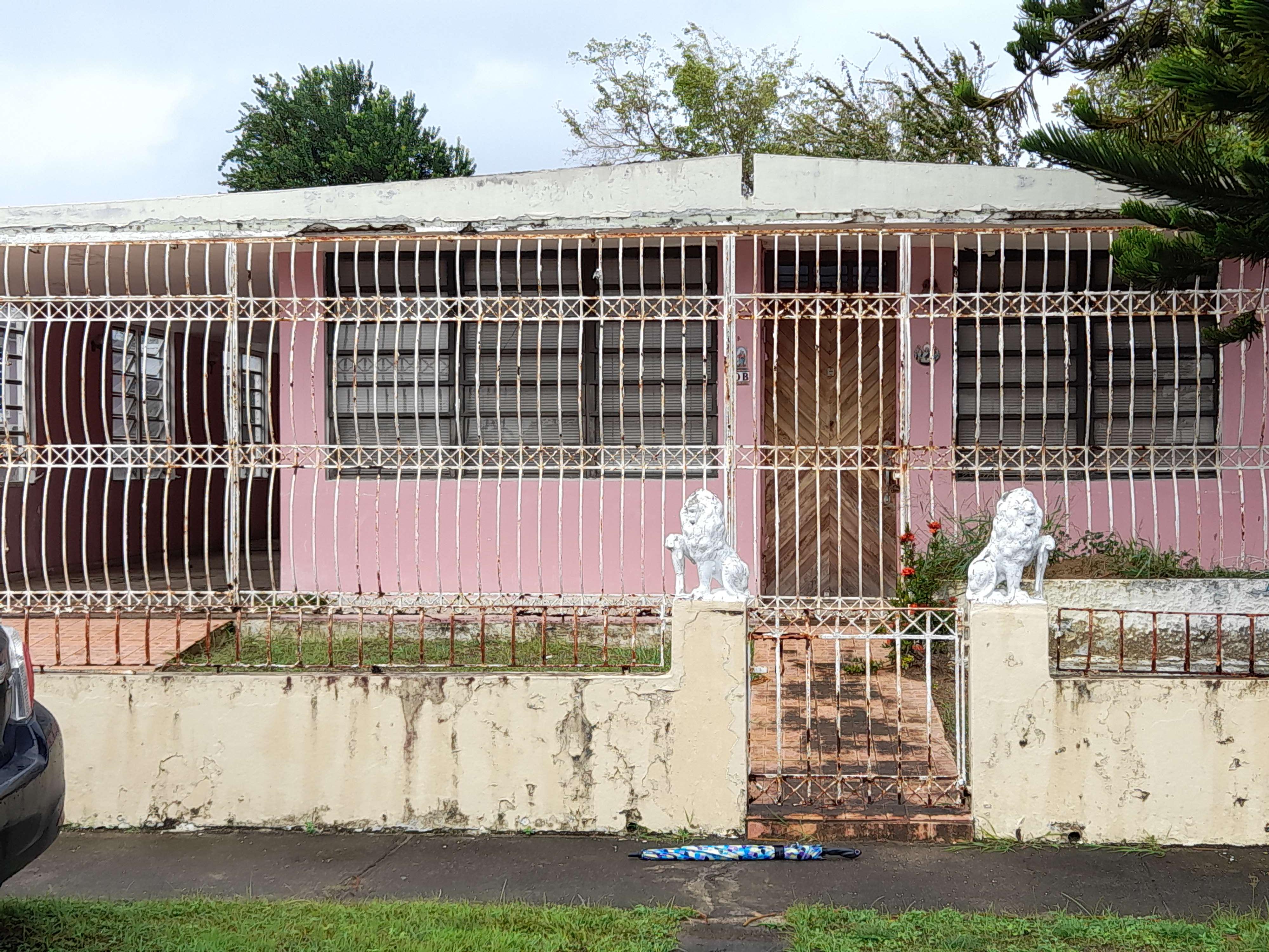 Foto de estorbo público en Vega Baja