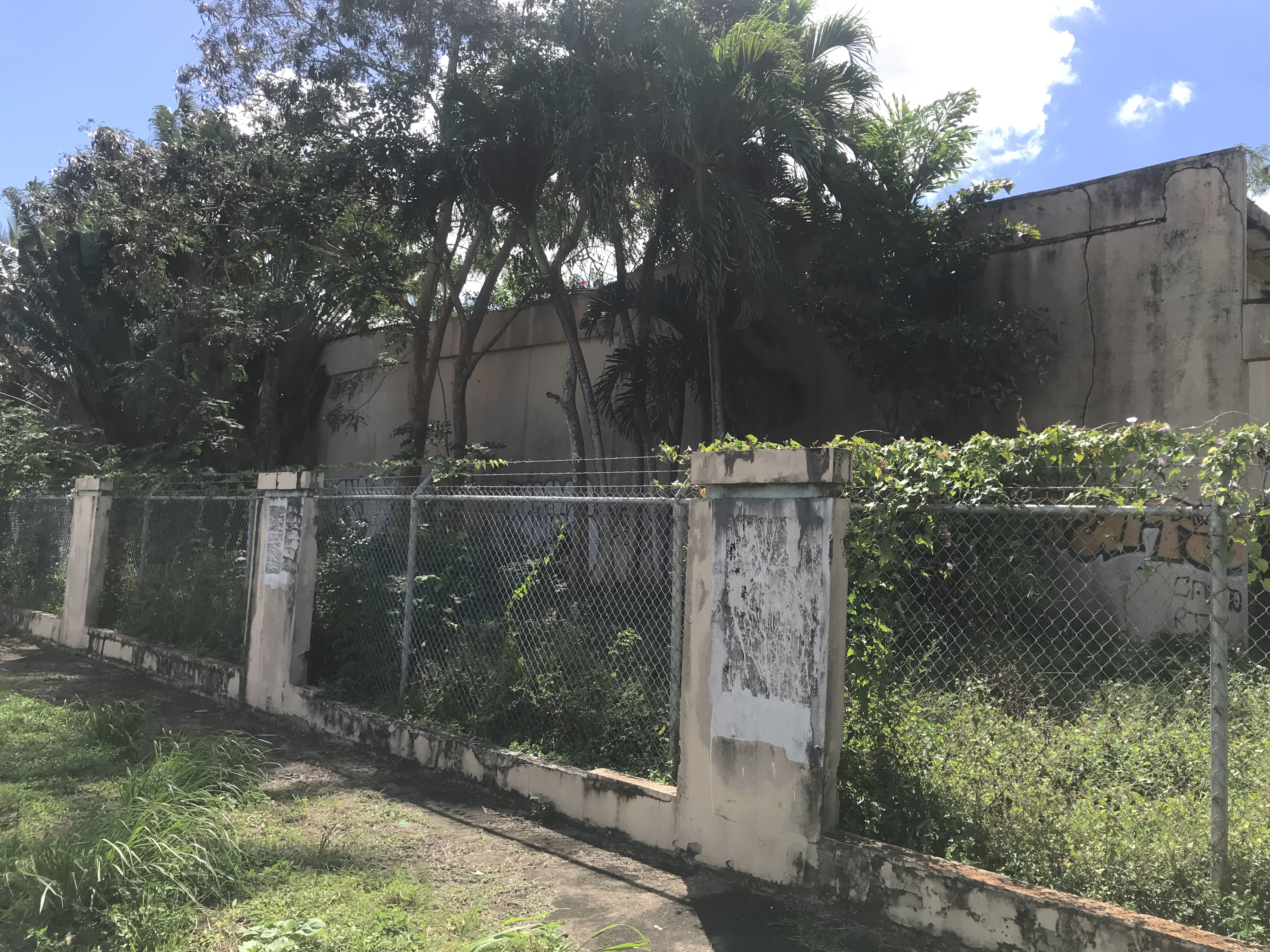 Foto de estorbo público en Vega Baja