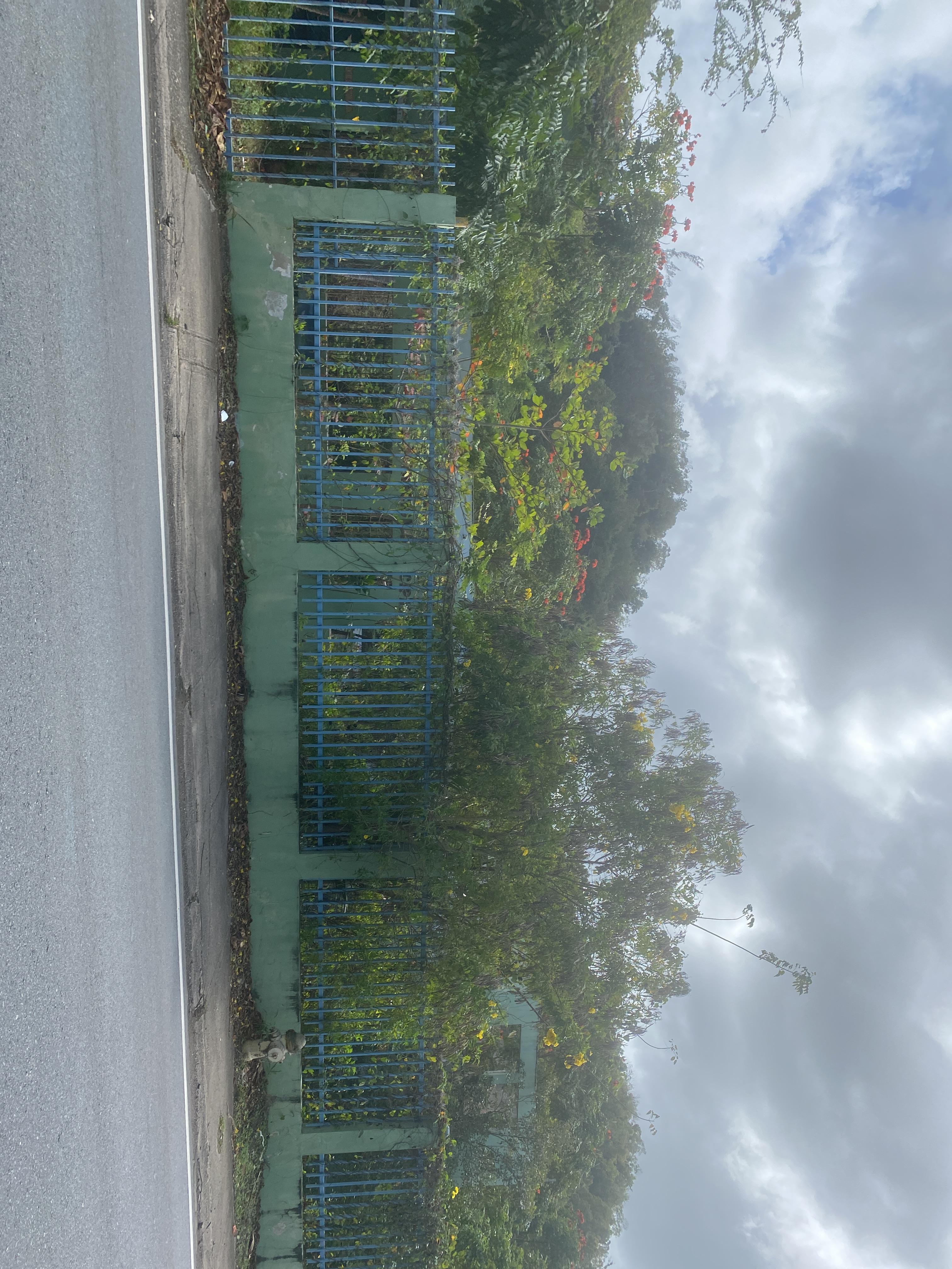 Foto de estorbo público en Vega Baja