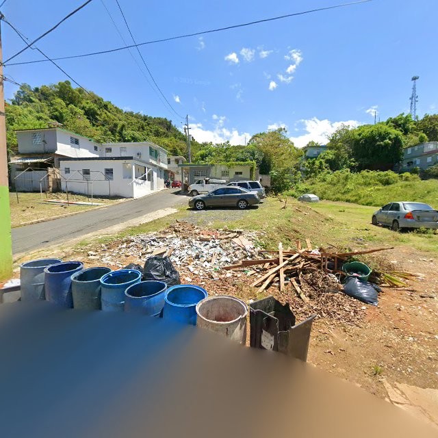 Foto de estorbo público en Vega Baja