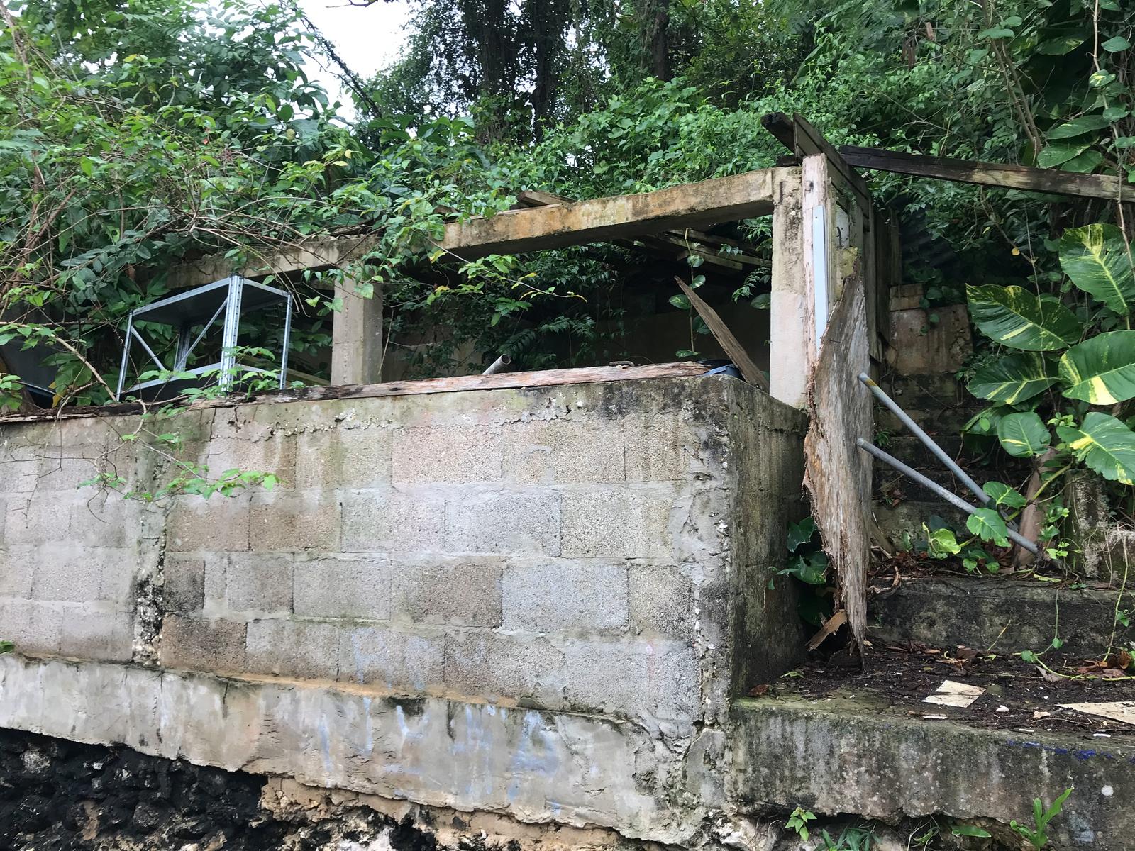 Foto de estorbo público en Vega Baja