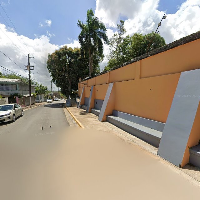 Propiedad declarada estorbo público en FP5Q+JW8 Dorado, Puerto Rico 00646, Dorado