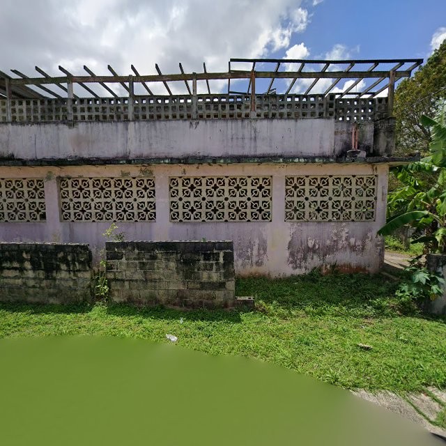 Foto de estorbo público en Toa Baja