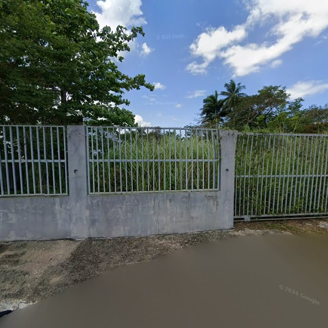 Foto de estorbo público en Toa Baja