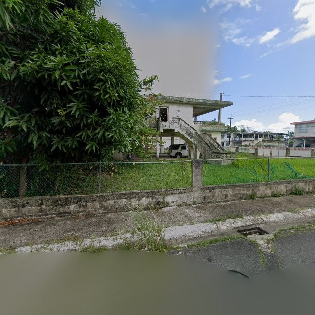 Foto de estorbo público en Toa Baja