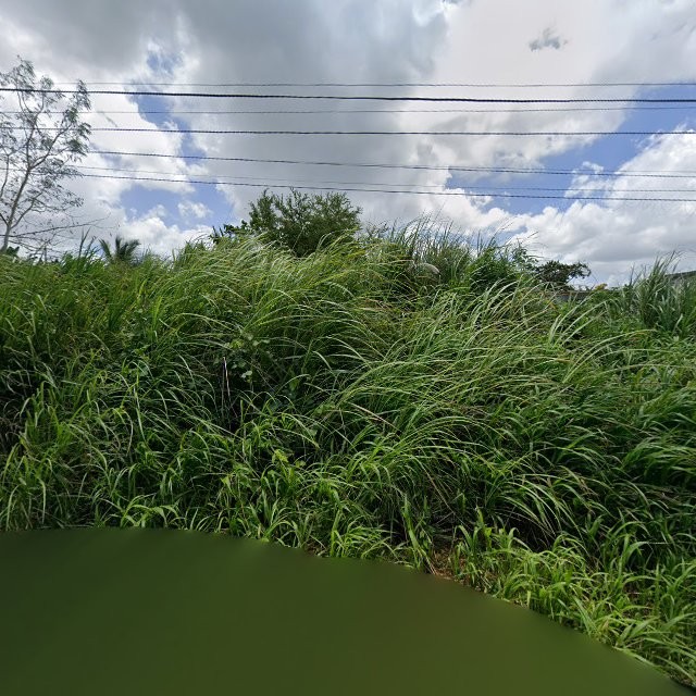 Propiedad declarada estorbo público en CQV5+583 Toaville, Toa Baja, Puerto Rico 00949, Toa Baja