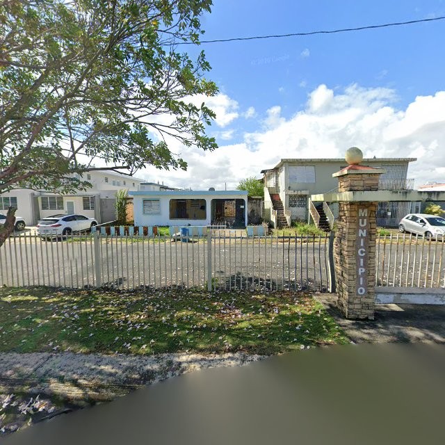 Foto de estorbo público en Toa Baja