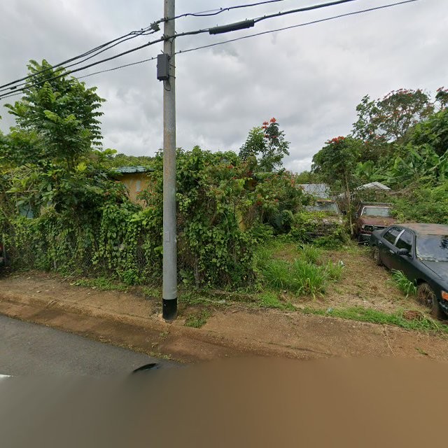 Propiedad declarada estorbo público en CF46+WRX Manatí, Puerto Rico 00617, Manatí
