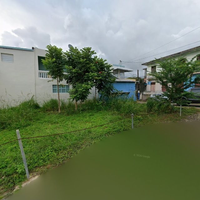 Propiedad declarada estorbo público en CGG6+M49 Manatí, Puerto Rico 00674, Manatí