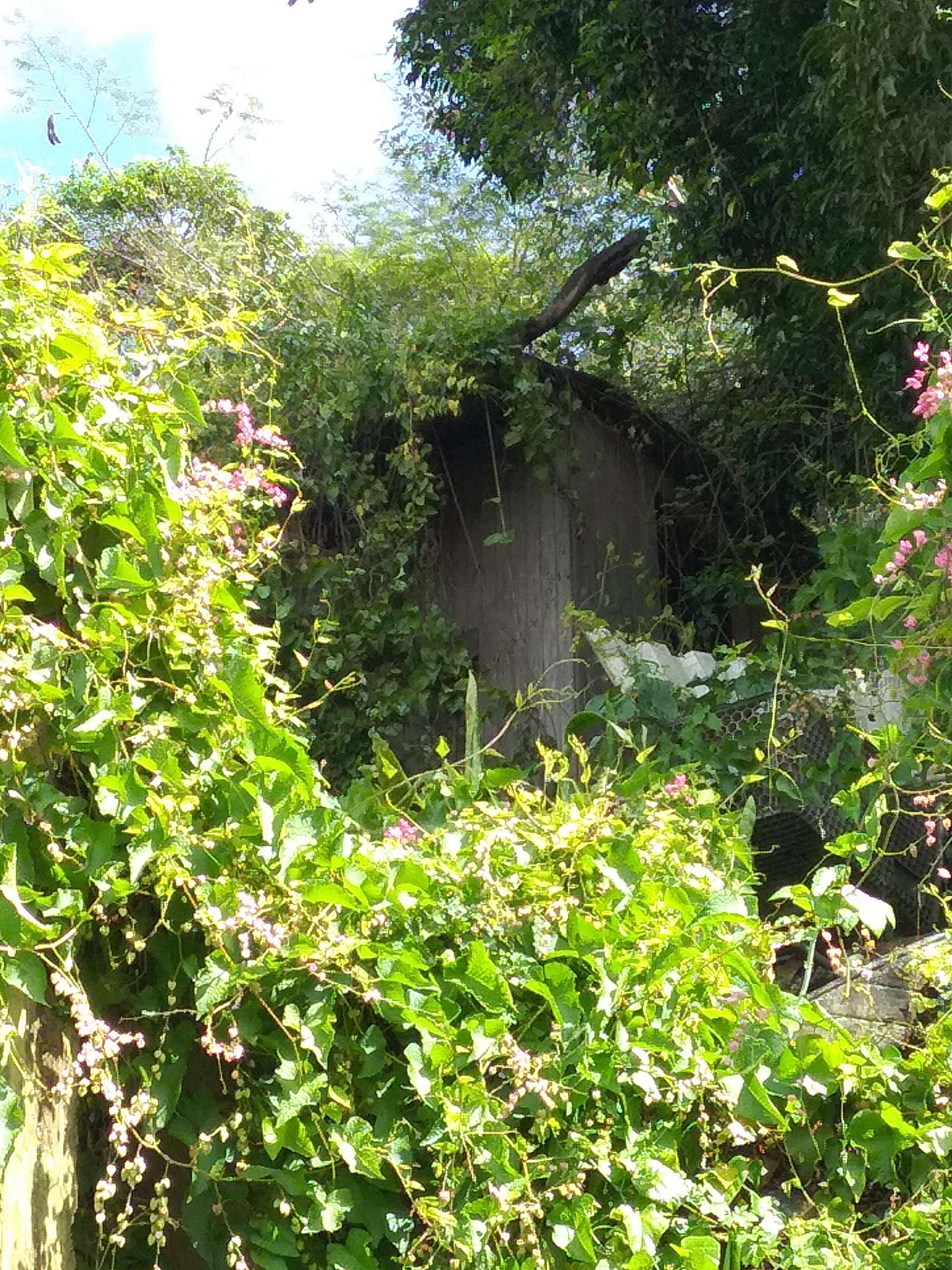 Foto de estorbo público en Manatí