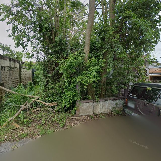 Foto de estorbo público en Manatí