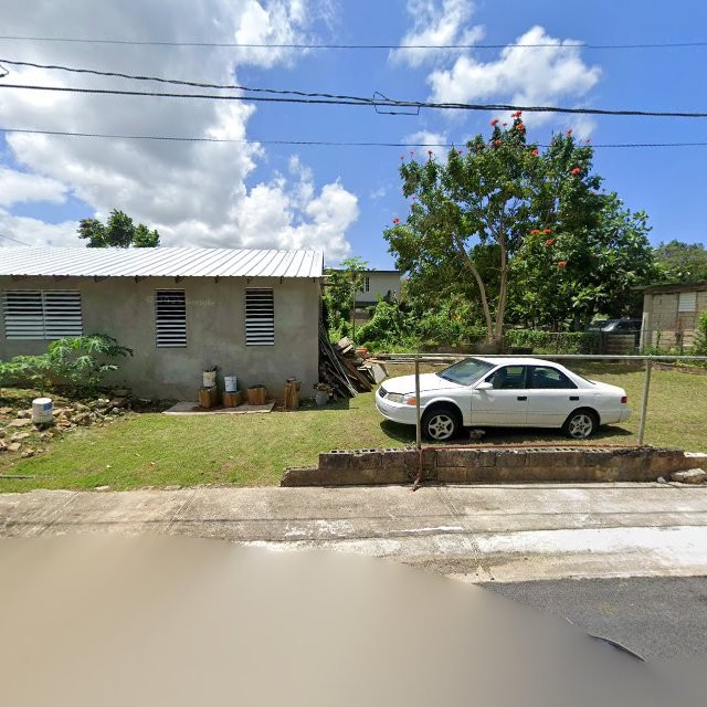 Propiedad declarada estorbo público en CQ9V+7V8 Candelaria Arenas, Toa Baja, Puerto Rico 00949, Toa Baja