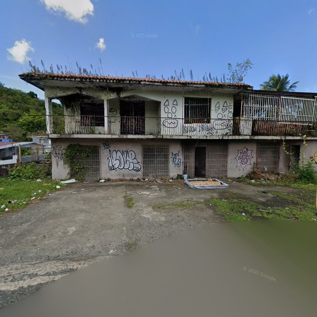 Propiedad declarada estorbo público en CQ8X+C4J Candelaria, Toa Baja, Puerto Rico 00949, Toa Baja