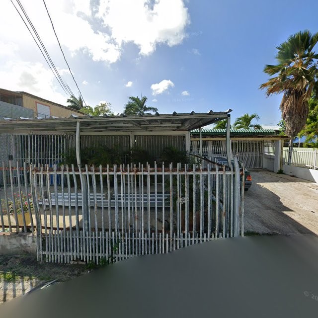 Propiedad declarada estorbo público en CRJG+89G Sabana Seca, Toa Baja, Puerto Rico 00949, Toa Baja