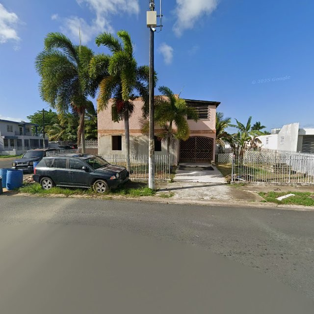 Foto de estorbo público en Toa Baja