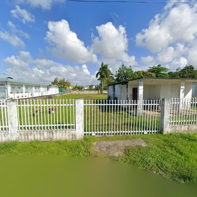 Propiedad declarada estorbo público en CRHG+33G Sabana Seca, Toa Baja, Puerto Rico 00952, Toa Baja