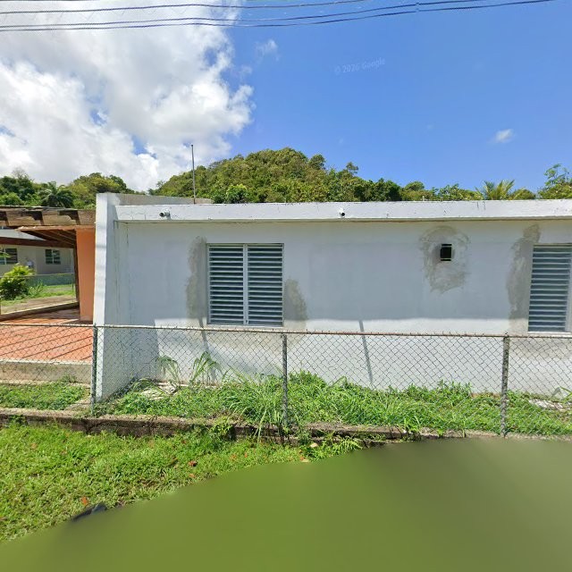 Propiedad declarada estorbo público en CRG9+375 Sabana Seca, Toa Baja, Puerto Rico 00952, Toa Baja