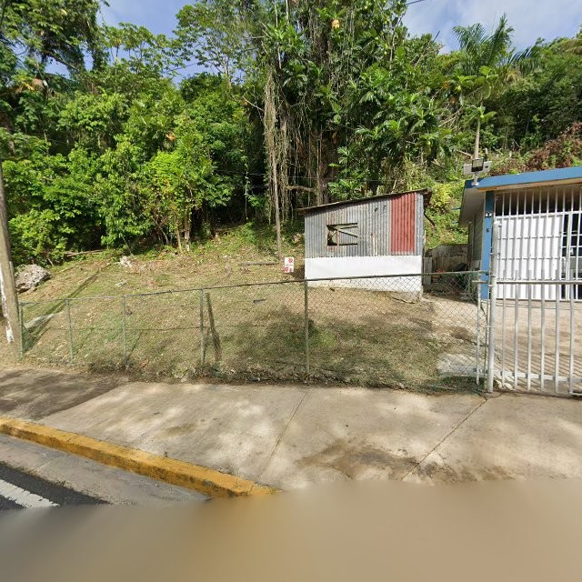 Propiedad declarada estorbo público en 9CHP+WQ7 Florida, Puerto Rico 00650, Florida