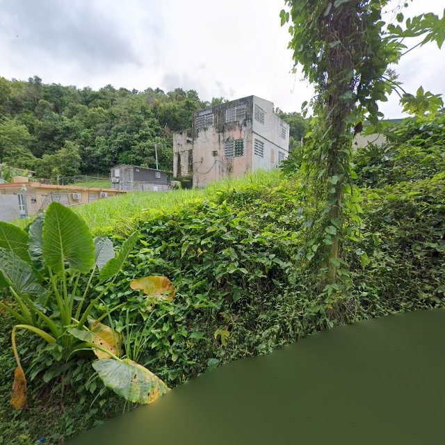 Propiedad declarada estorbo público en 9GMF+G29 Manatí, Puerto Rico 00674, Manatí