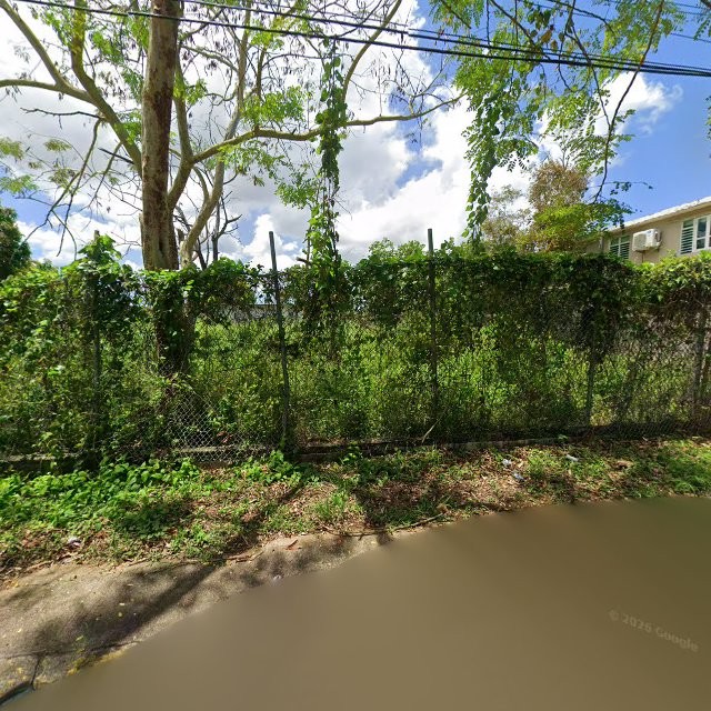 Propiedad declarada estorbo público en CQ3V+32Q Candelaria, Toa Baja, Puerto Rico 00949, Toa Baja