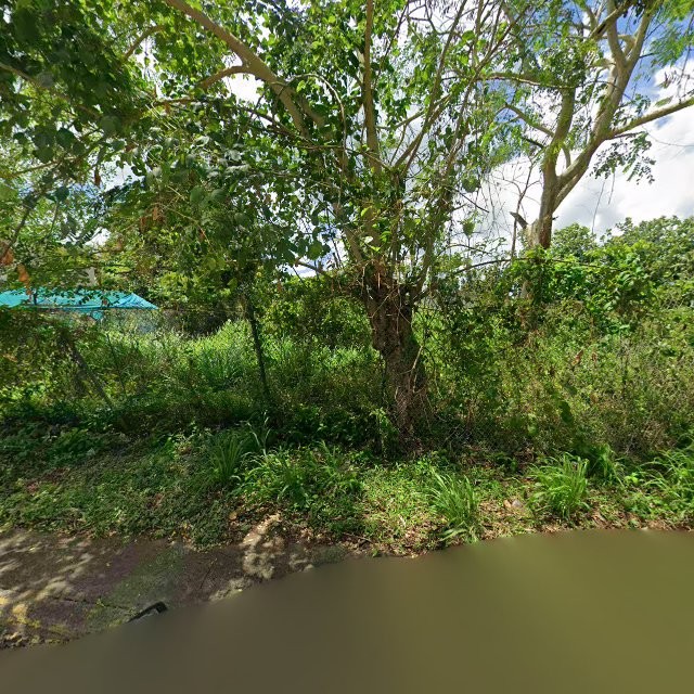 Propiedad declarada estorbo público en CQ3V+22H Candelaria, Toa Baja, Puerto Rico 00949, Toa Baja