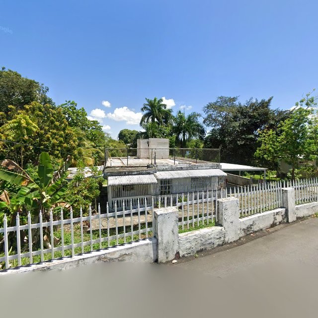 Propiedad declarada estorbo público en 9QVJ+WGV Mucarabones, Toa Alta, Puerto Rico 00953, Toa Alta