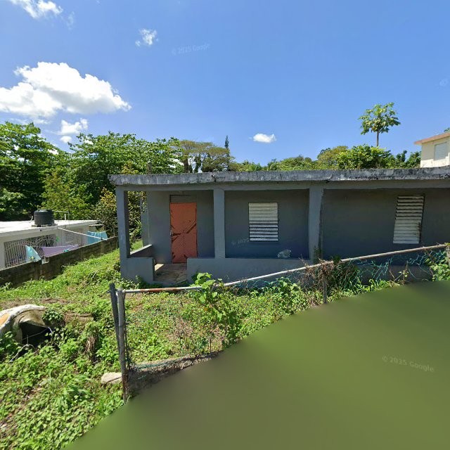 Propiedad declarada estorbo público en 9QVJ+48X Mucarabones, Toa Alta, Puerto Rico 00953, Toa Alta