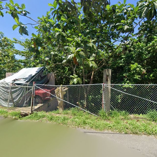 Propiedad declarada estorbo público en 9QFJ+6HM Pajaros, Toa Alta, Puerto Rico 00953, Toa Alta