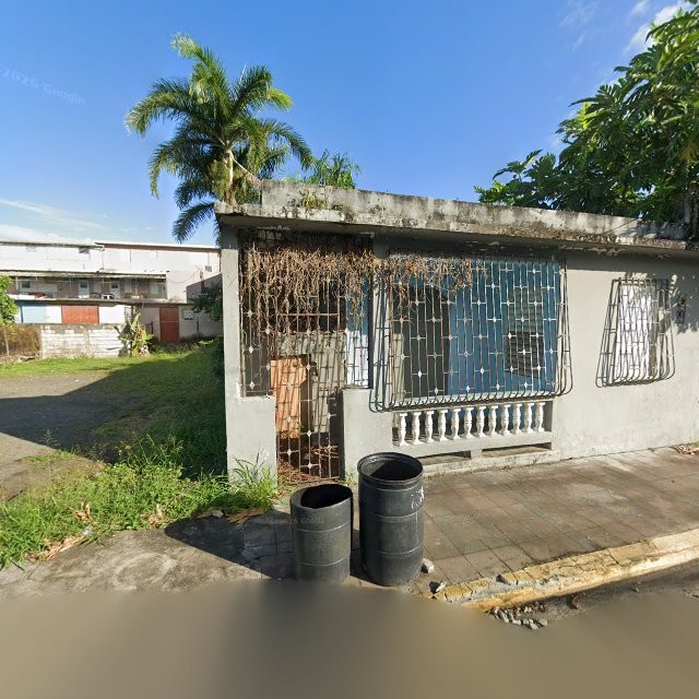 Propiedad declarada estorbo público en 94H2+63V Canovanas, Canóvanas, Puerto Rico 00729, Canóvanas