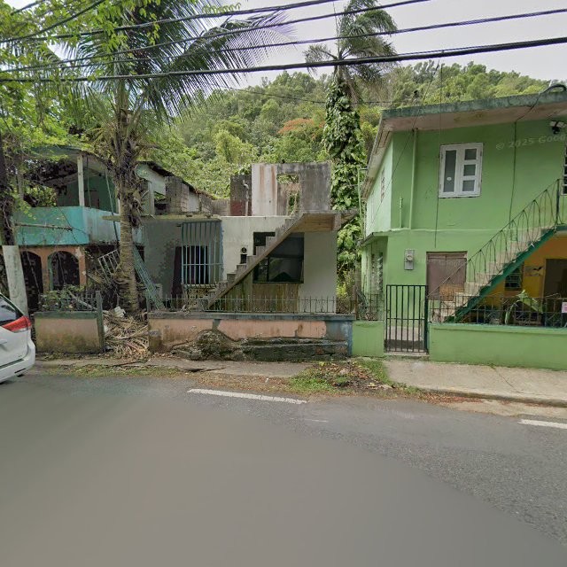 Propiedad declarada estorbo público en 9C6J+53Q Florida, Puerto Rico 00650, Florida