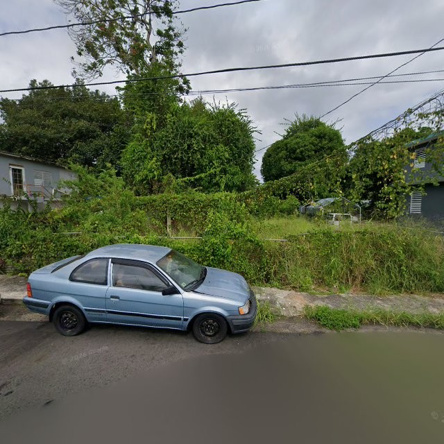 Propiedad declarada estorbo público en 9C7Q+3QH Florida, Puerto Rico 00650, Florida