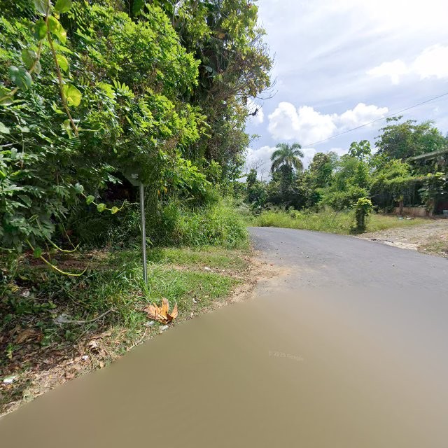 Propiedad declarada estorbo público en 9G7R+5JH Barahona, Morovis, Puerto Rico 00687, Morovis