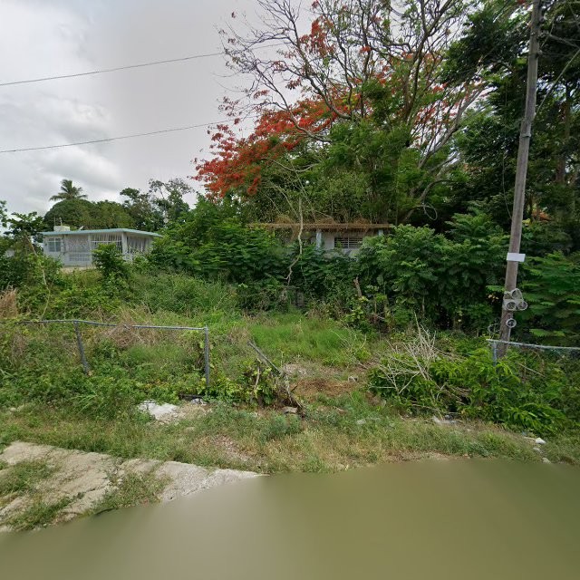 Propiedad declarada estorbo público en 9H45+MJQ Barahona, Morovis, Puerto Rico 00687, Morovis