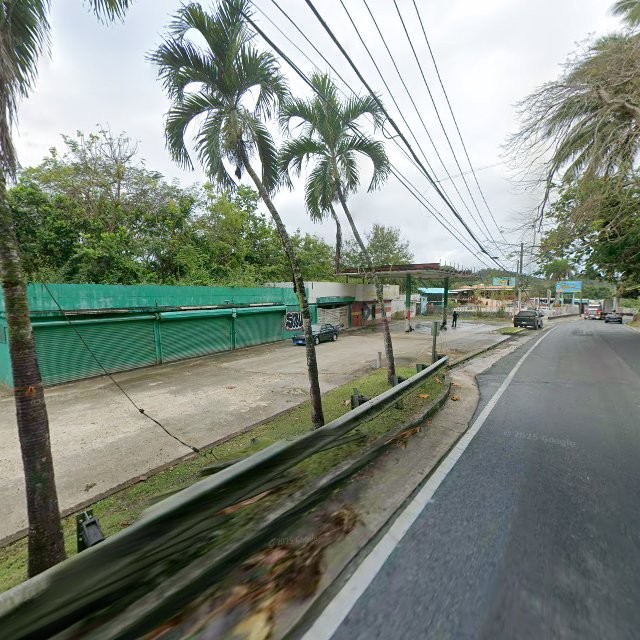 Foto de estorbo público en Toa Alta