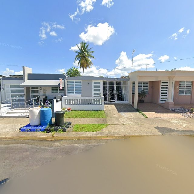 Propiedad declarada estorbo público en 9Q6R+93Q Pajaros, Toa Alta, Puerto Rico 00953, Toa Alta