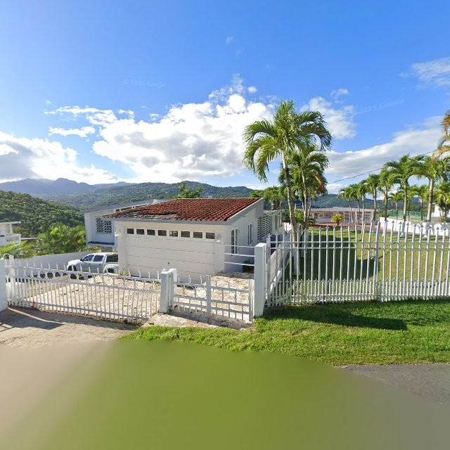 Propiedad declarada estorbo público en 84V9+J3H Cambalache, Canóvanas, Puerto Rico 00729, Canóvanas