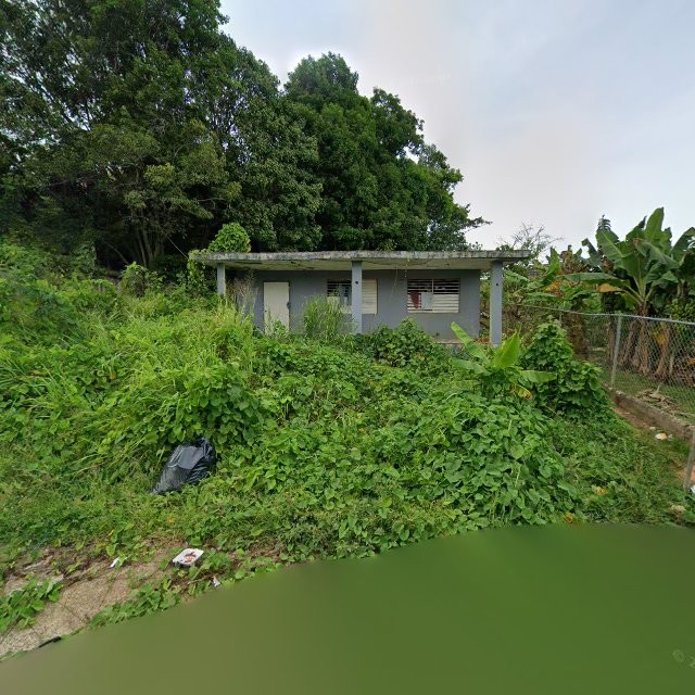 Propiedad declarada estorbo público en 9835+J5H Ramos, Luquillo, Puerto Rico 00773, Luquillo