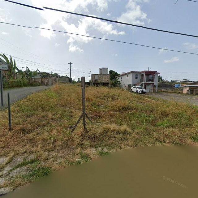 Propiedad declarada estorbo público en 8HQG+P93 Franquez, Morovis, Puerto Rico 00687, Morovis