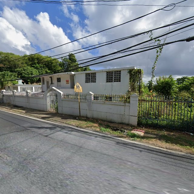 Propiedad declarada estorbo público en 8HPQ+C98 Morovis, Puerto Rico 31620, Morovis