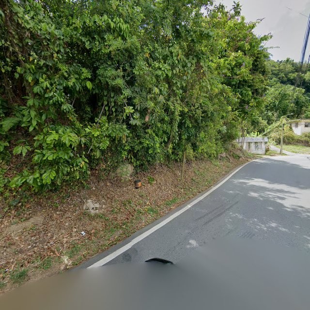 Foto de estorbo público en Morovis