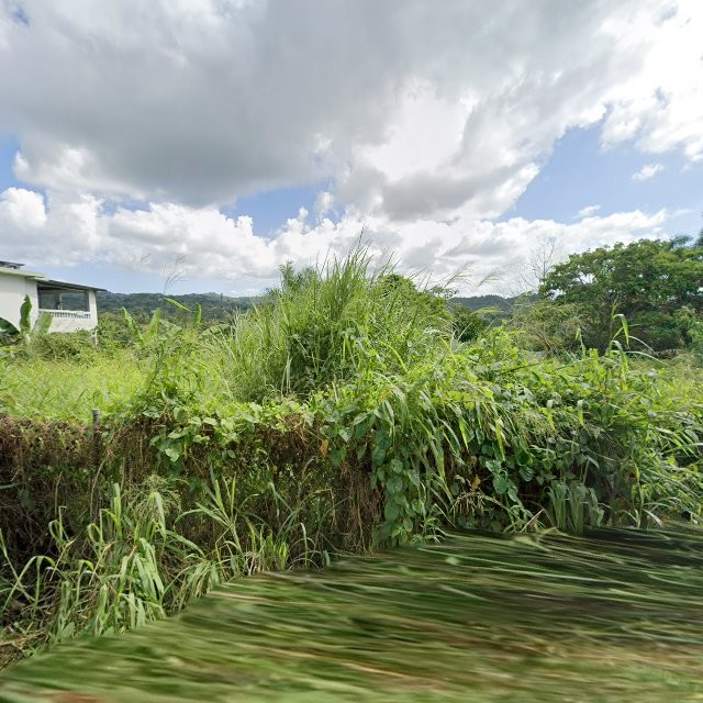 Propiedad declarada estorbo público en 8JMJ+G65 Morovis, Puerto Rico 00687, Morovis