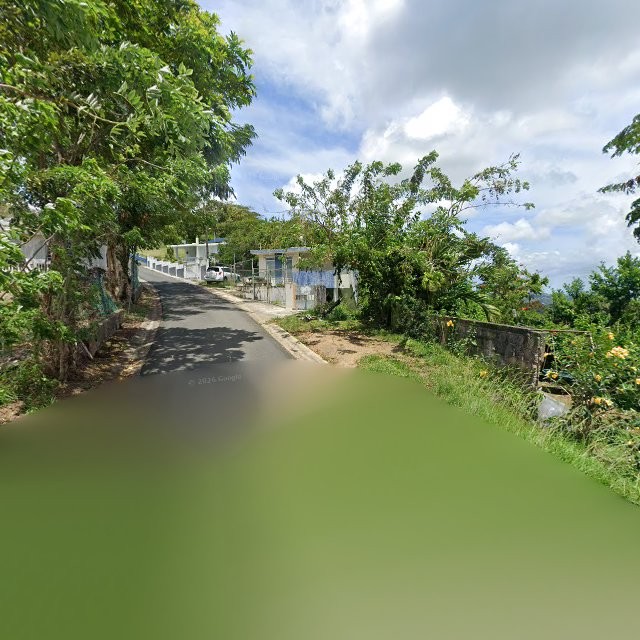 Propiedad declarada estorbo público en 8QF4+C9X Naranjito, Puerto Rico 00719, Naranjito