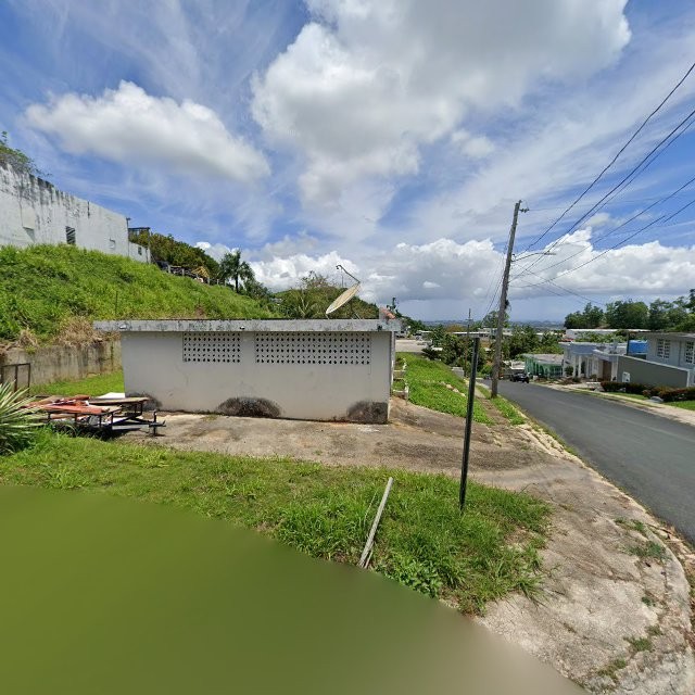 Propiedad declarada estorbo público en 8Q86+VCC Naranjito, Puerto Rico 00719, Naranjito